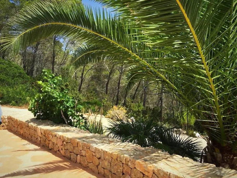 Vila Beautiful Views With Pool In Ibiza Sant Miquel de Balansat 0*,  Španělsko